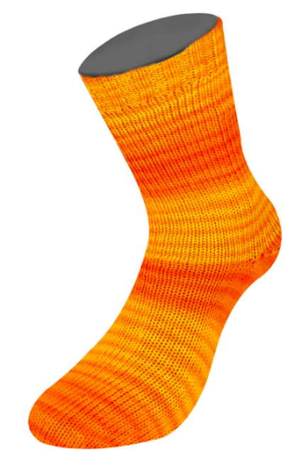 Solo Cotone Zebra